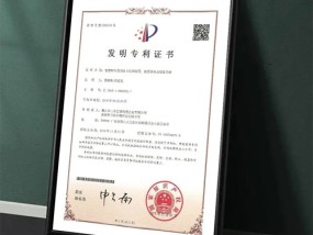 2024香港免费资料六会宝典，别号精选答案落实_HZ1.119