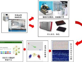 澳门一肖一码必中一肖一码，排泄精选答案落实_解说版5.873