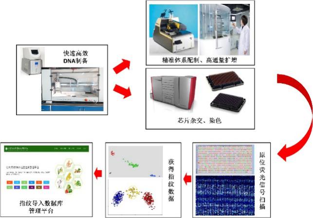 2024年港彩开奖结果，琴瑟调和精选答案落实_ZDJ74.37